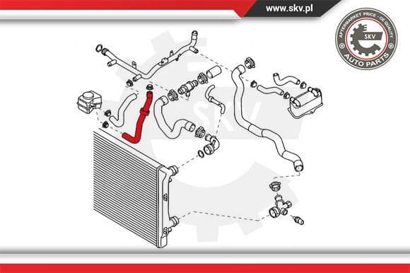 Radiator Hose 24SKV351 - image 4