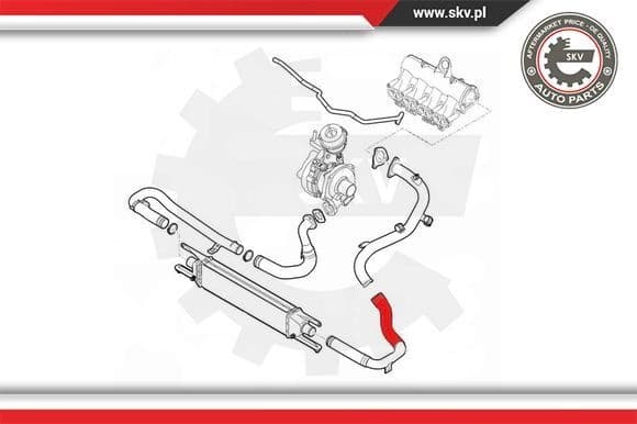 Charge Air Hose 43SKV055 - image 4