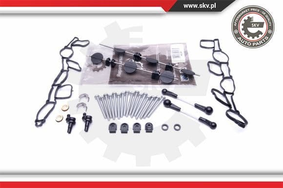 Repair Kit, intake manifold module 49SKV501
