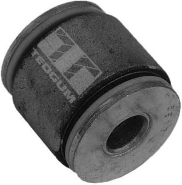 Mounting, control/trailing arm 00022393