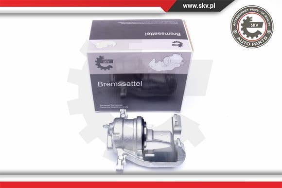 Brake Caliper 42SKV232