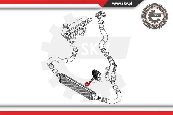 Charge Air Hose 43SKV115 - image 4