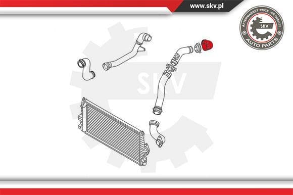 Charge Air Hose 24SKV821 - image 4