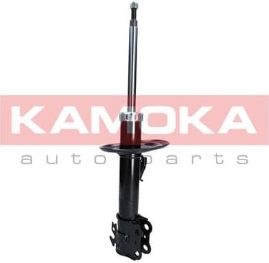 Shock absorber front 2000255