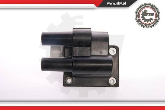 Ignition Coil 03SKV039