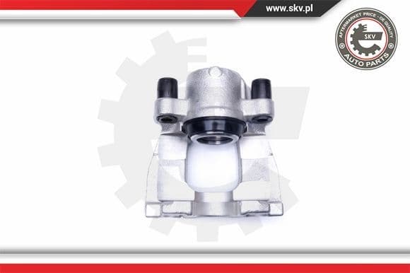 Brake Caliper 42SKV262