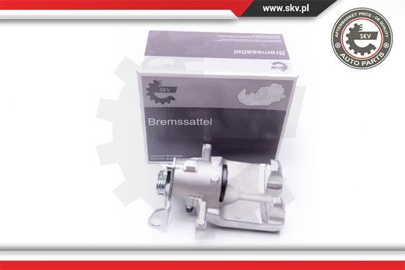 Brake Caliper 42SKV064