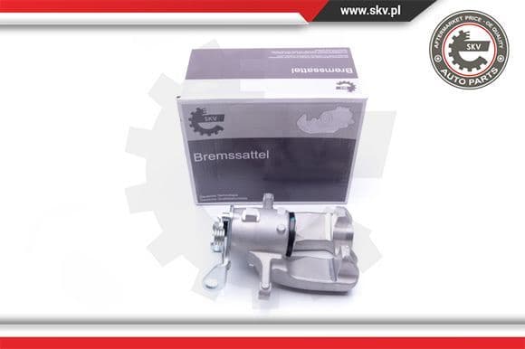 Brake Caliper 42SKV068