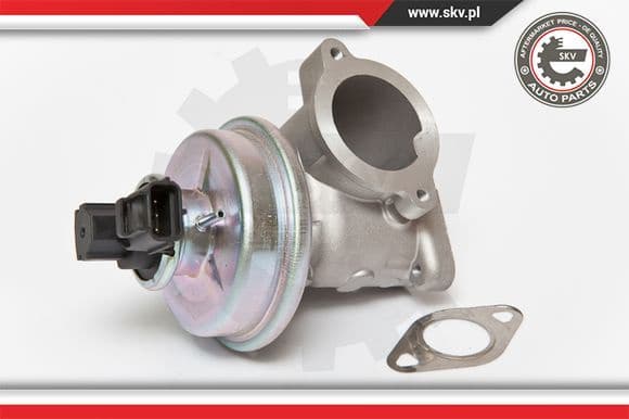 EGR Valve 14SKV061