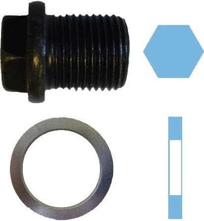 Oil drain plug 220155S