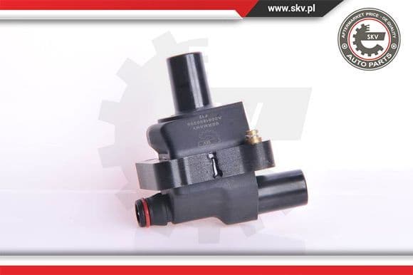 Ignition Coil 03SKV017