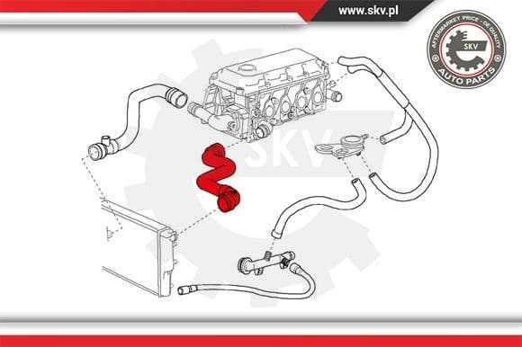 Radiator Hose 24SKV201 - image 4