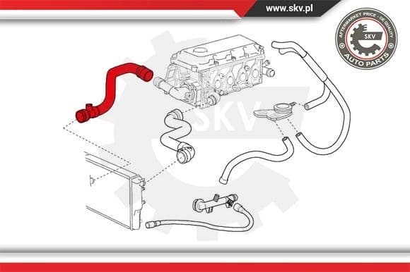 Radiator Hose 24SKV250 - image 2
