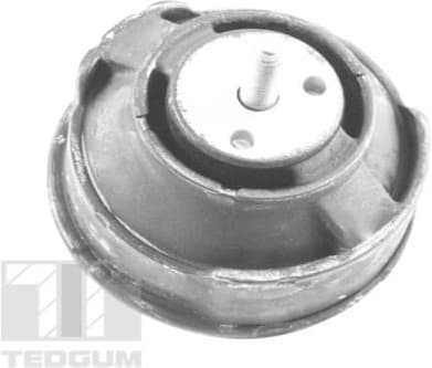 Mounting, engine 00080630