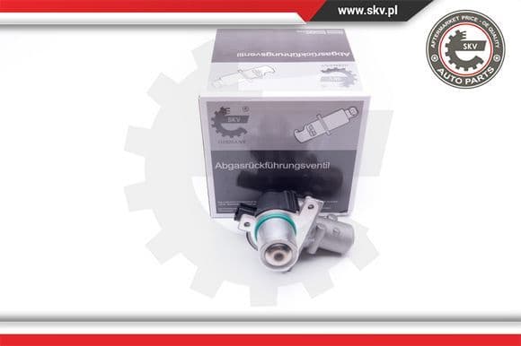 EGR Valve 14SKV163