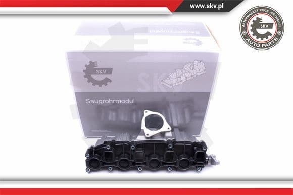 Intake Manifold Module 49SKV006