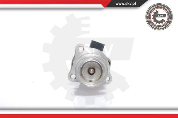 EGR Valve 14SKV009