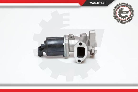 EGR Valve 14SKV040