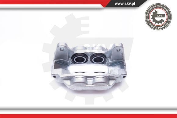Brake Caliper 42SKV171