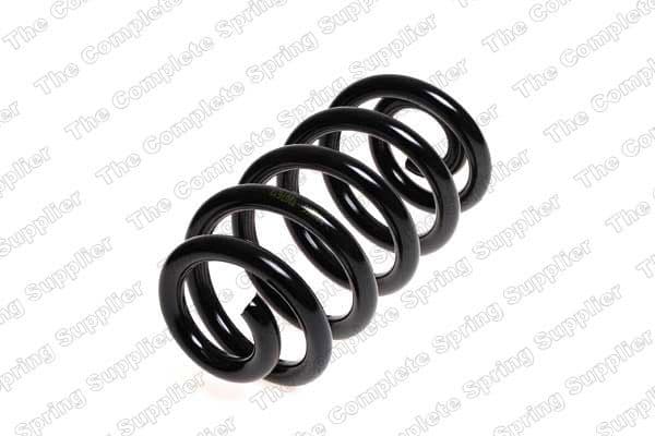Suspension Spring 4204252