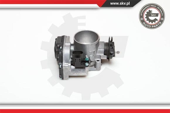 Throttle Body 12SKV007