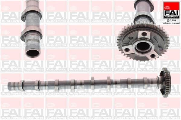 Camshaft C392
