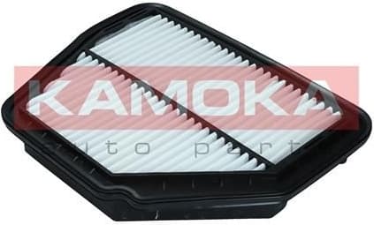 Air Filter F246101
