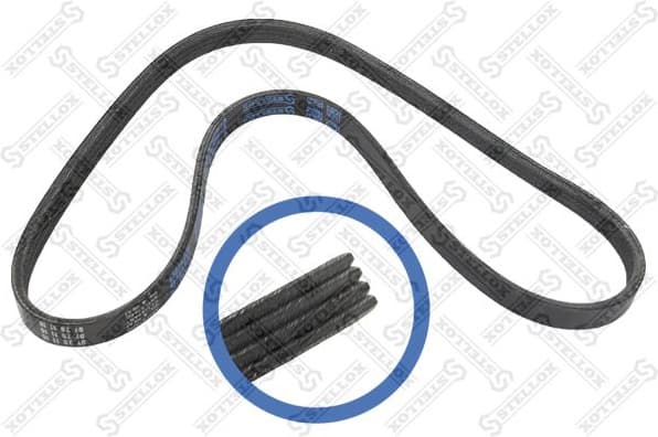 V-ribbed Belt 04-00922-SX
