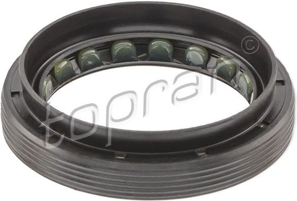 Shaft Seal, differential 700 892