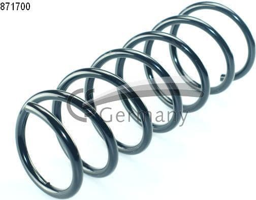 Suspension Spring 14871700