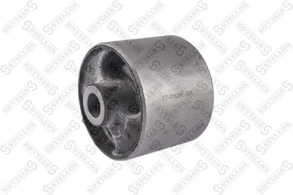 Mounting, transfer case 77-01096-SX