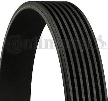 V-ribbed Belt 7PK1104