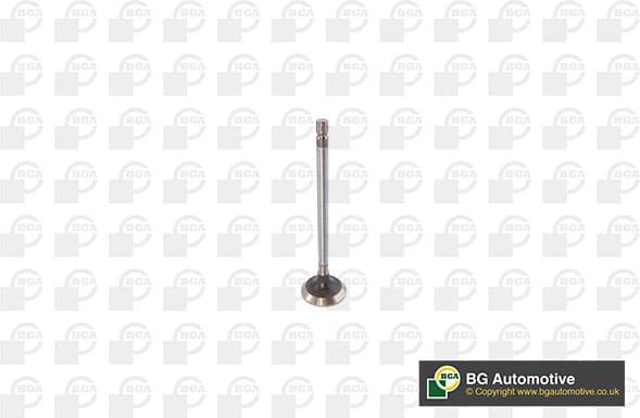 Exhaust Valve V611982