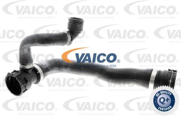 Radiator Hose Q+, original equipment manufacturer quality V20-1284