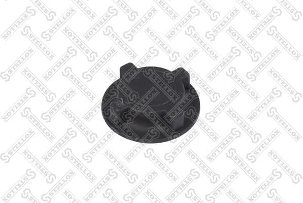 Cap, radiator 89-04702-SX
