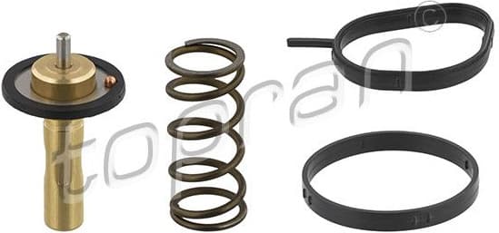 Thermostat, coolant 304 989