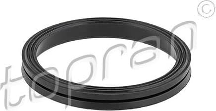 Gasket, timing case 628 304