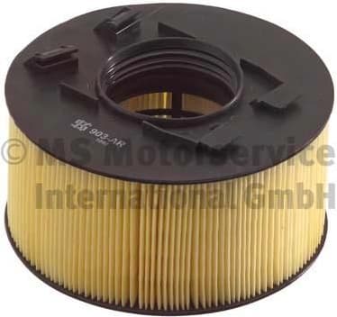 Air Filter 50013903