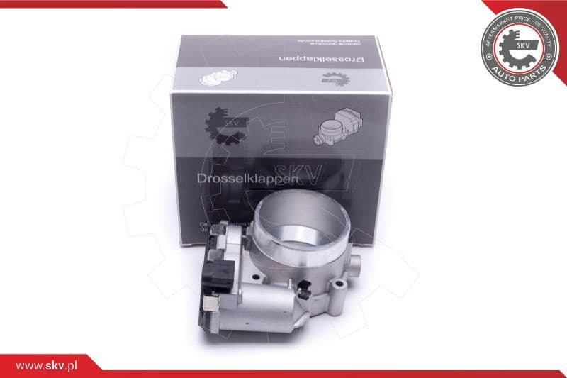 Throttle Body 12SKV109