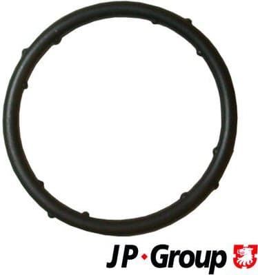 Gasket, coolant flange JP 1119606300