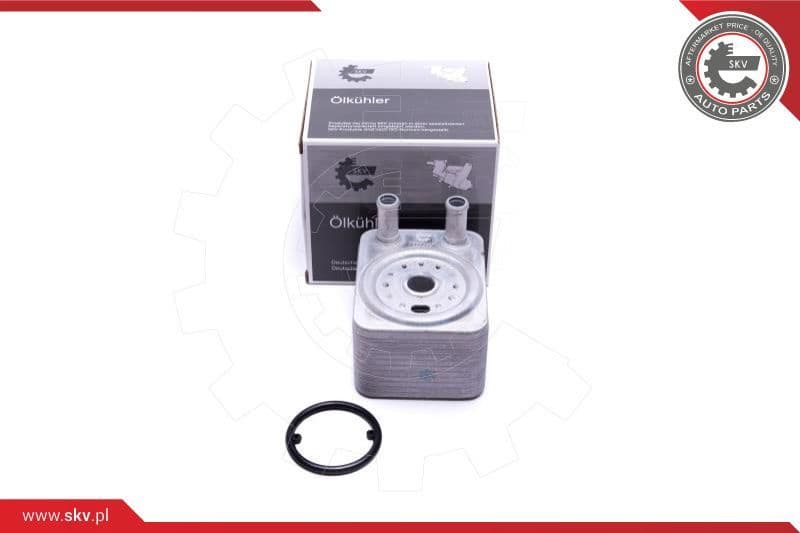 Oil Cooler, engine oil 31SKV208