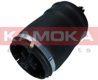 Air Spring, suspension 2079031