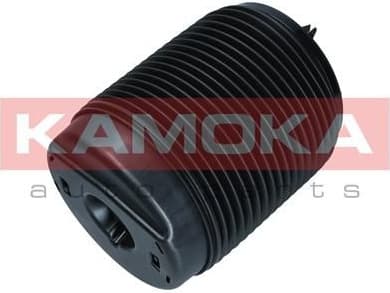 Air Spring, suspension 2079068