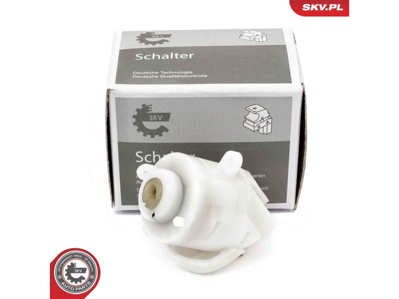 Ignition Switch 65SKV016