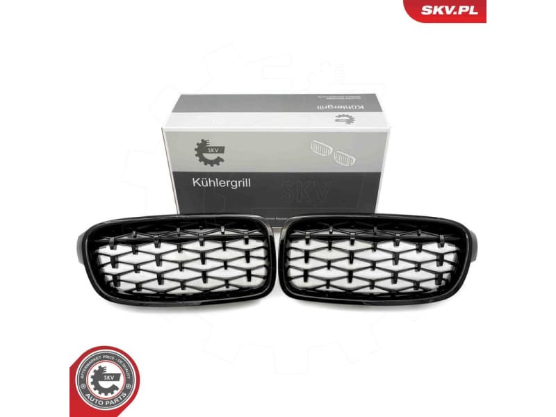 Radiator Grille 66SKV128