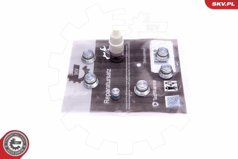 Repair Kit, intake manifold module 49SKV533