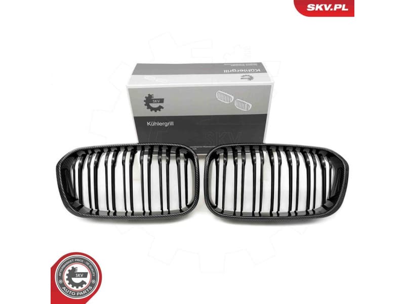 Radiator Grille 66SKV318