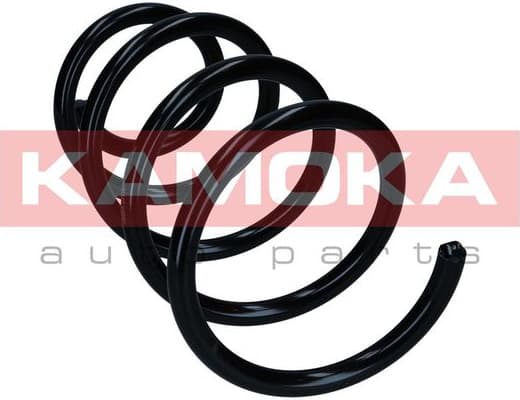 Suspension Spring 2110655