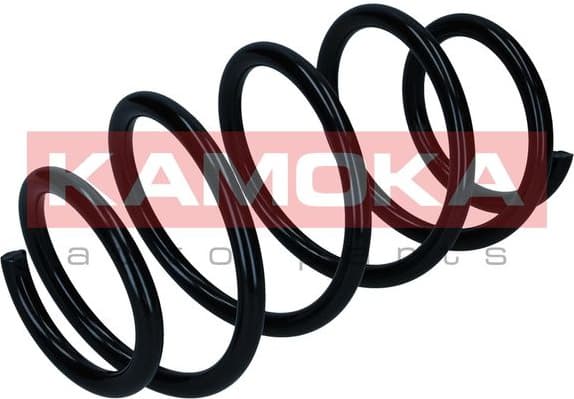 Suspension Spring 2110652