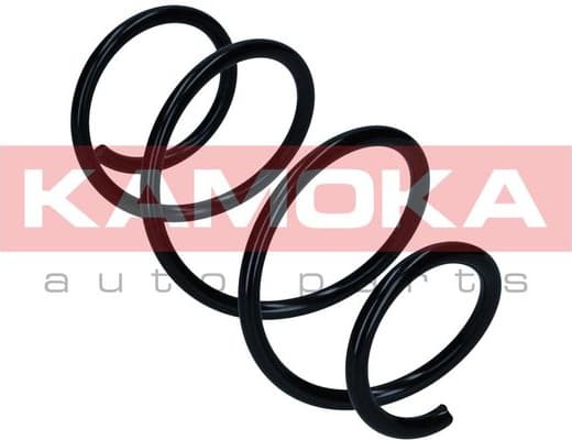 Suspension Spring 2110782